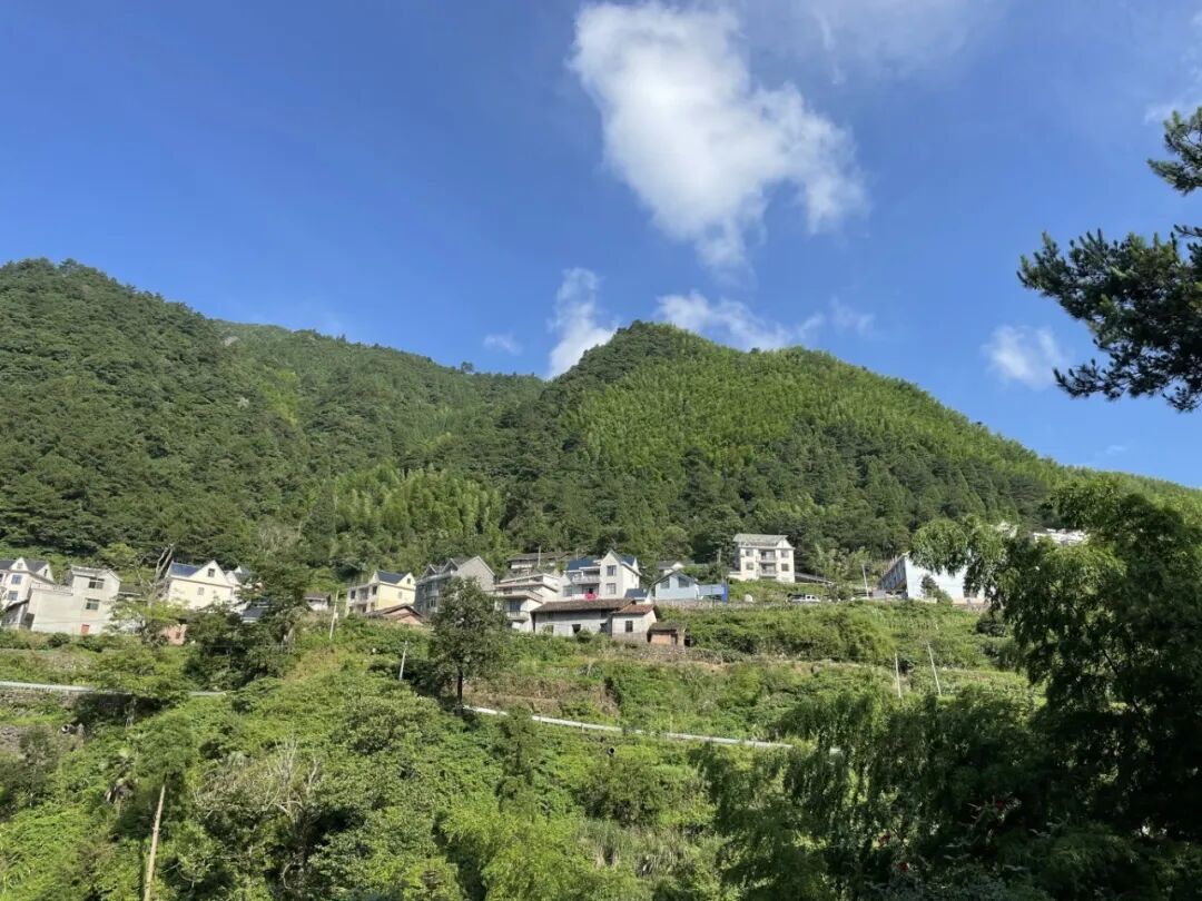 0018306fda6b1535128e5c038fc3dfc8.jpg 0018306fda6b1535128e5c038fc3dfc8.jpg