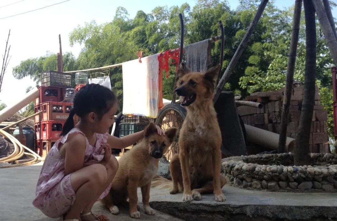 b43a2a5be7ec4d23ab9ed95eb8cba914.jpg b43a2a5be7ec4d23ab9ed95eb8cba914.jpg