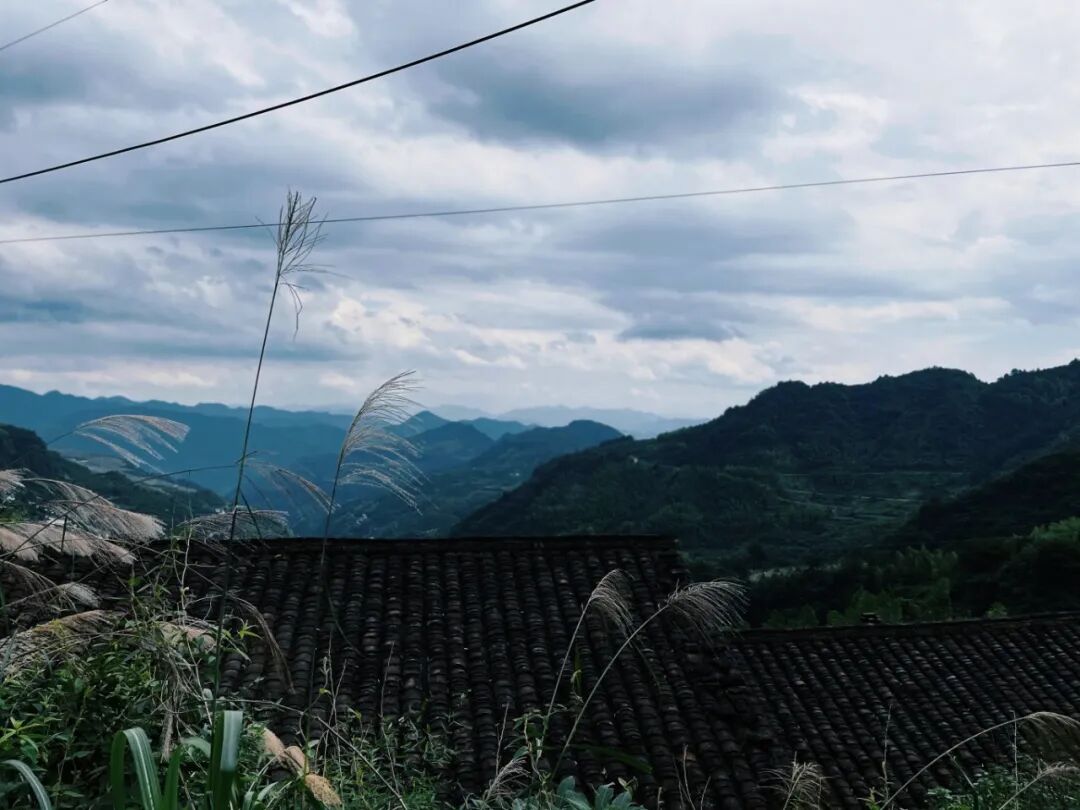 9ba1696132e231229a9ba311b6523bee.jpg 9ba1696132e231229a9ba311b6523bee.jpg