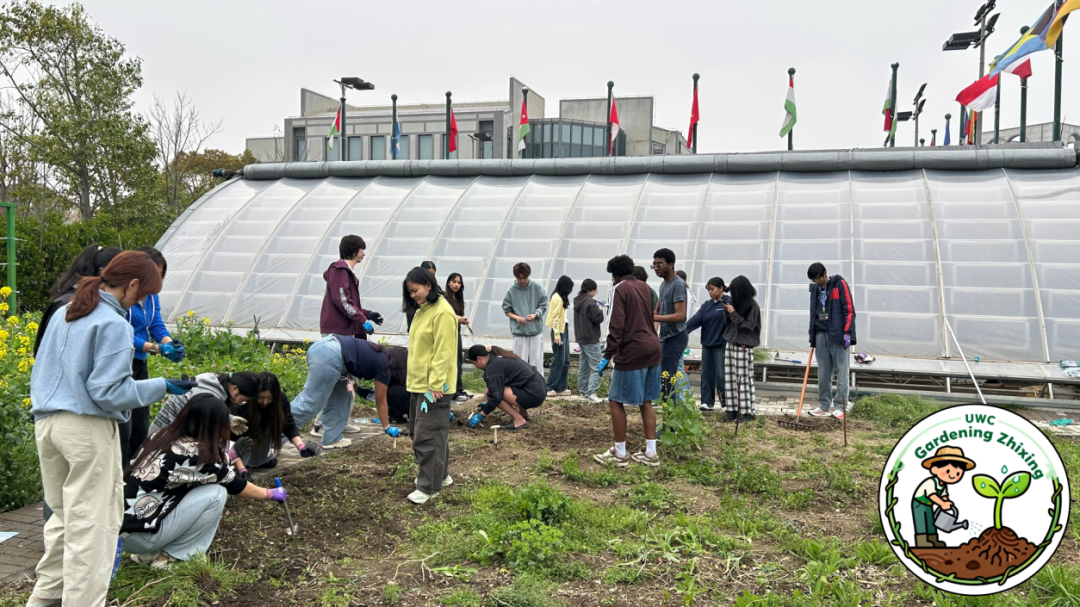 image_7.png image_7.png