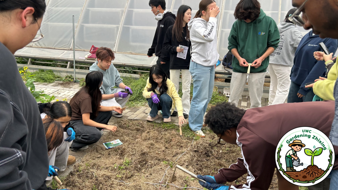 proxy-image (1).png proxy-image (1).png